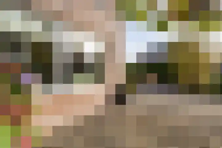 Lijsterbeslaan 10 Heerenveen thumbnail 41