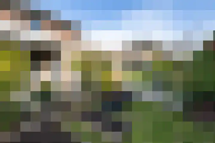 Lijsterbeslaan 10 Heerenveen thumbnail 42