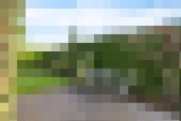 Lijsterbeslaan 10 Heerenveen thumbnail 43