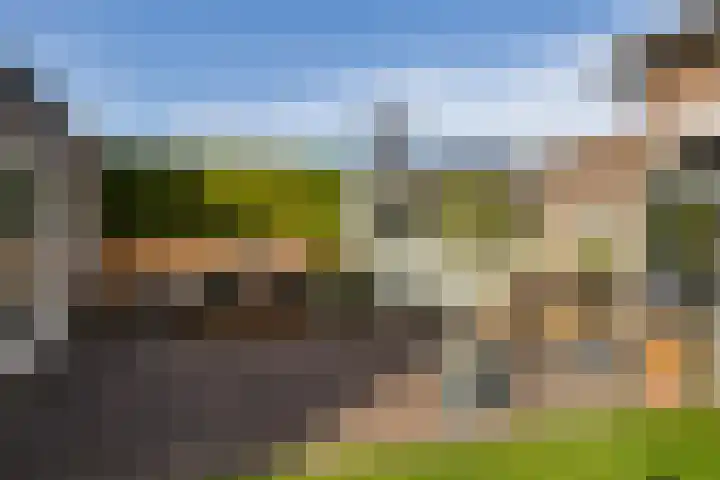 Lijsterbeslaan 10 Heerenveen thumbnail 45