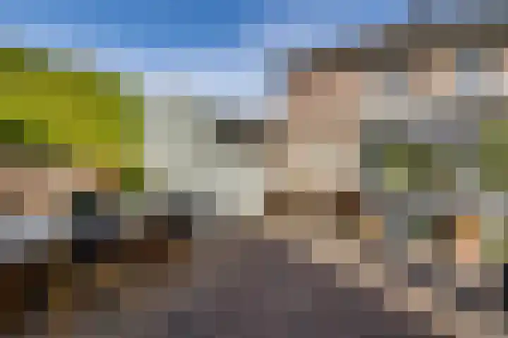Lijsterbeslaan 10 Heerenveen thumbnail 46