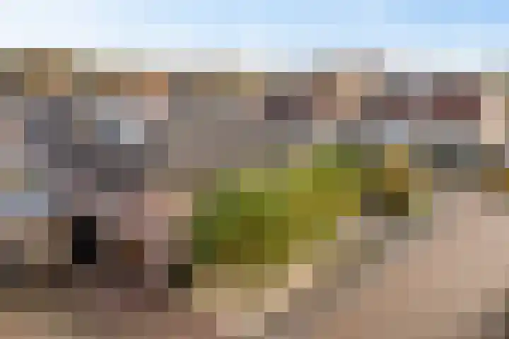 Lijsterbeslaan 10 Heerenveen thumbnail 47