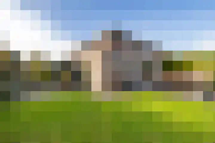 Lijsterbeslaan 10 Heerenveen thumbnail 5