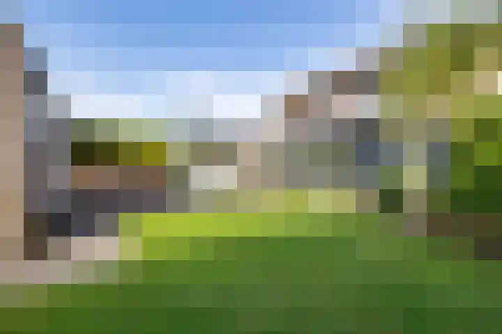 Lijsterbeslaan 10 Heerenveen thumbnail 6