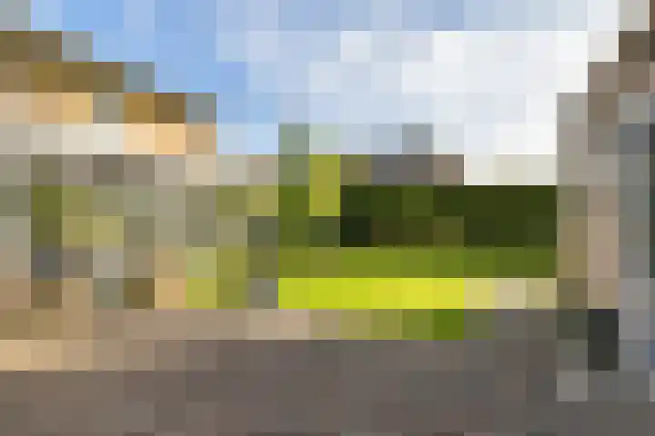 Lijsterbeslaan 10 Heerenveen thumbnail 7
