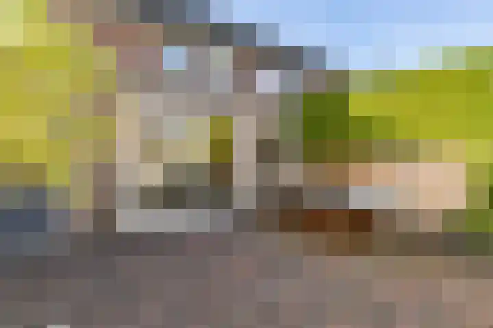 Lijsterbeslaan 10 Heerenveen thumbnail 8