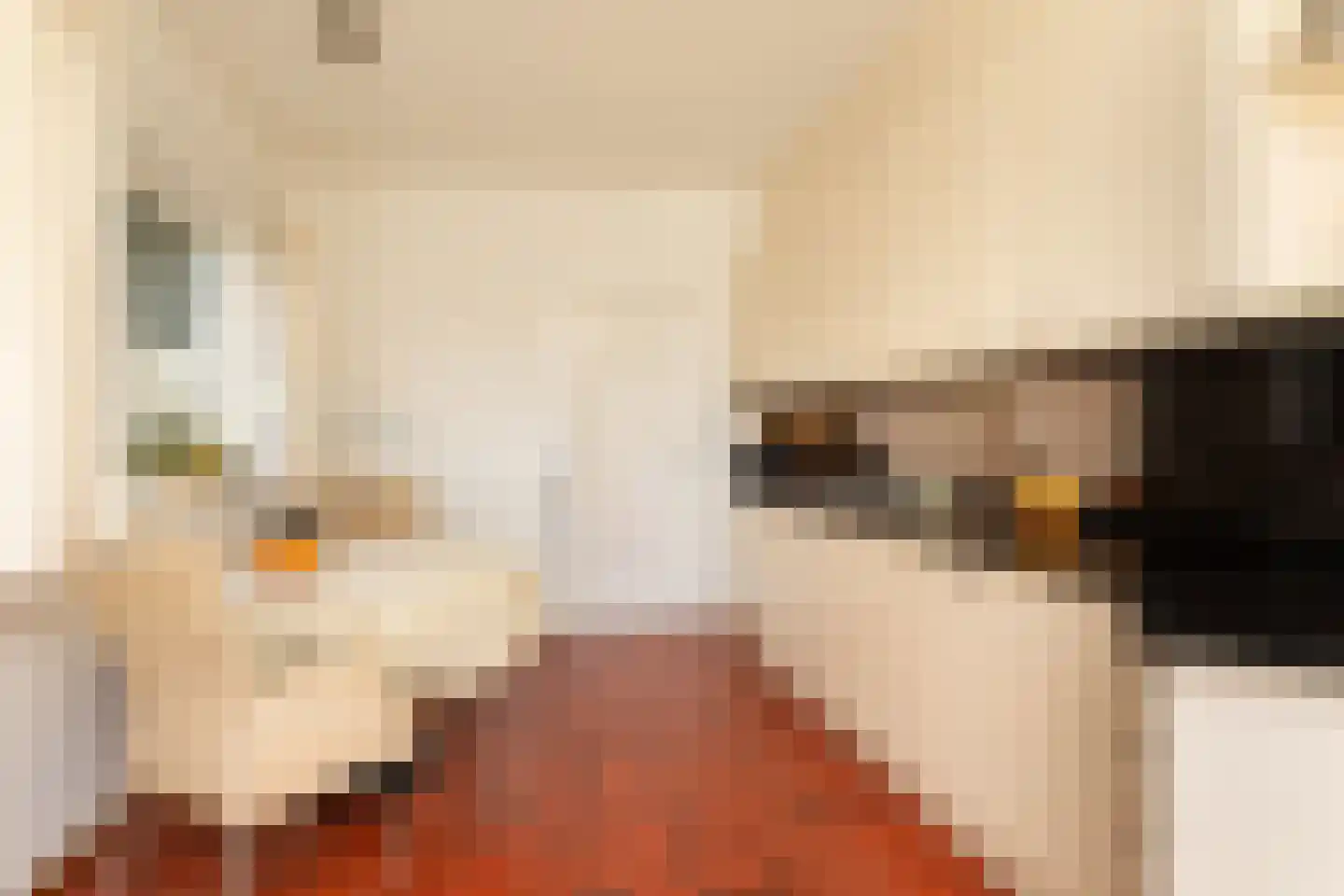 Lijsterbeslaan 10 Hilversum thumbnail 11