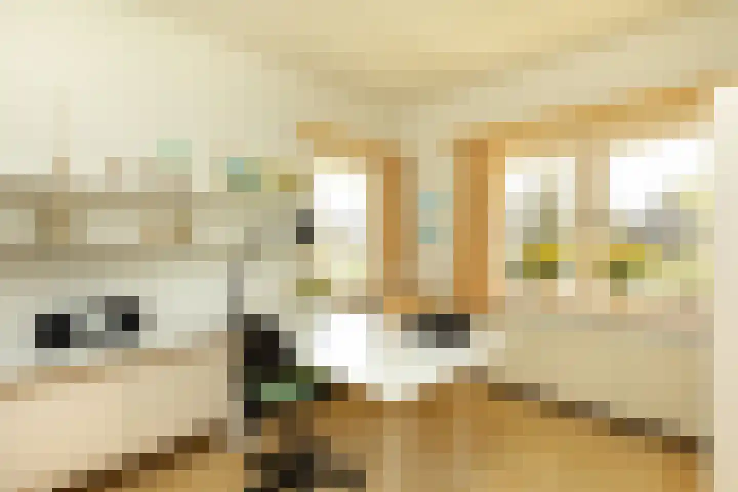 Lijsterbeslaan 10 Hilversum thumbnail 19