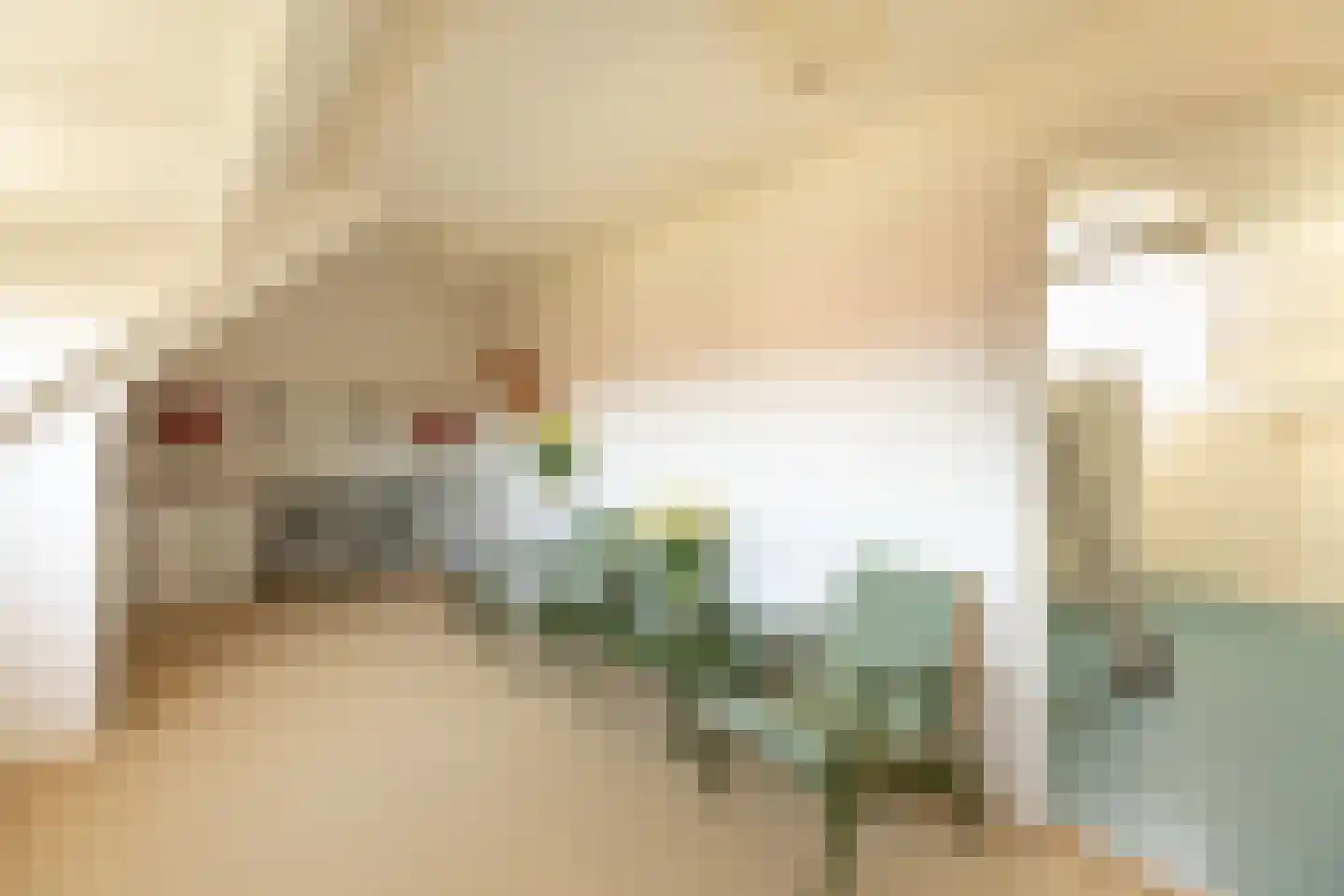 Lijsterbeslaan 10 Hilversum thumbnail 24