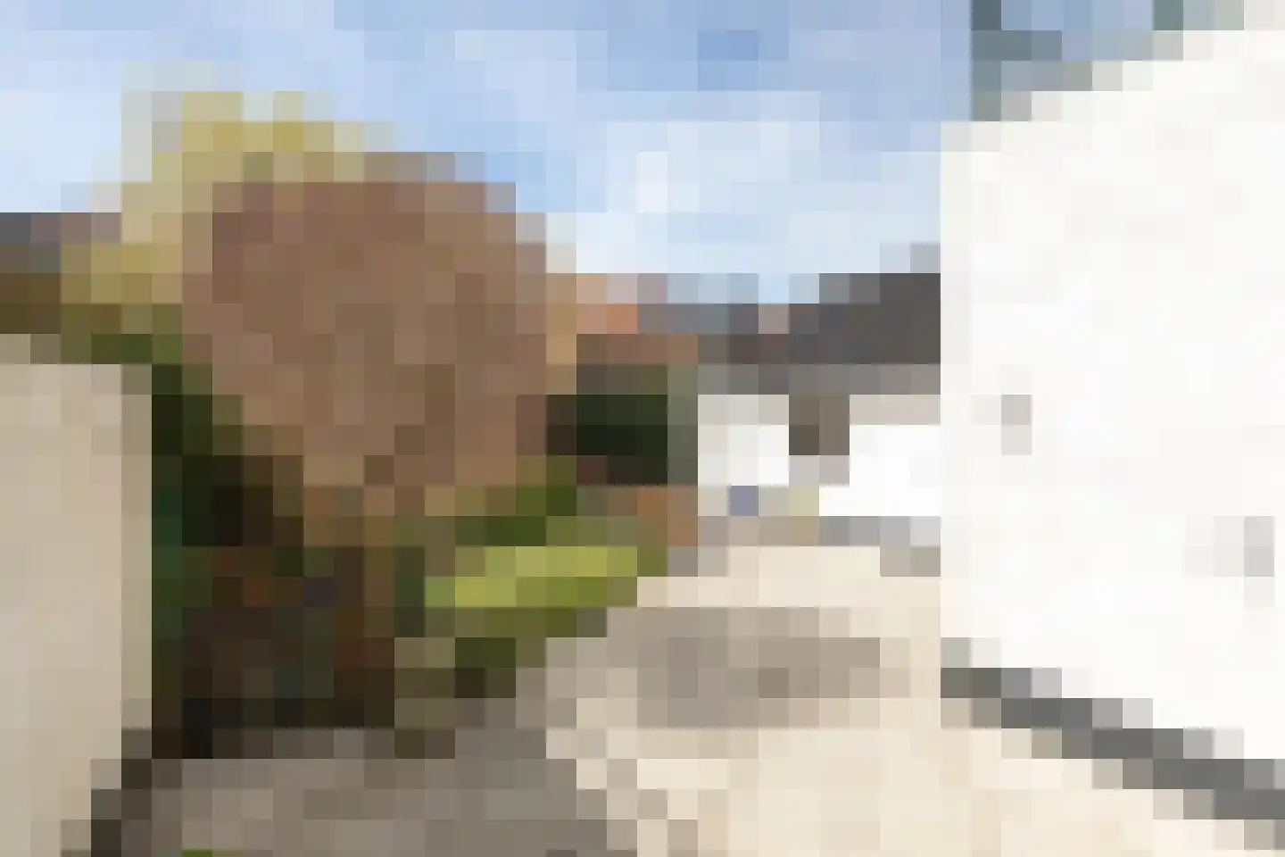 Lijsterbeslaan 10 Hilversum thumbnail 31