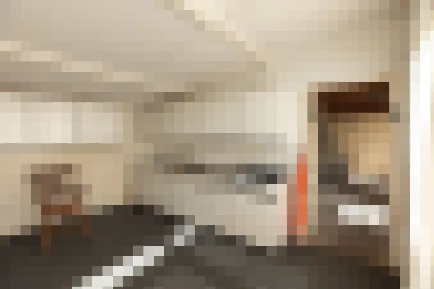 Lijsterbeslaan 10 Hilversum thumbnail 33