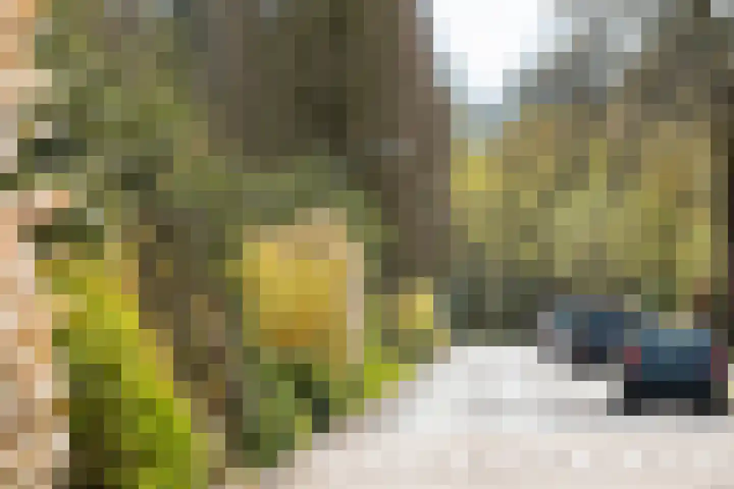 Lijsterbeslaan 10 Hilversum thumbnail 37