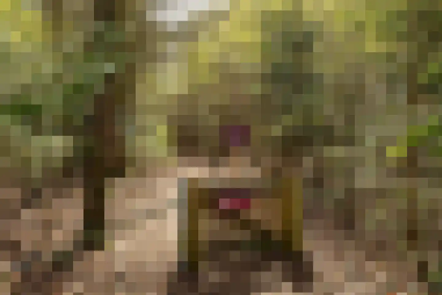 Lijsterbeslaan 10 Hilversum thumbnail 38