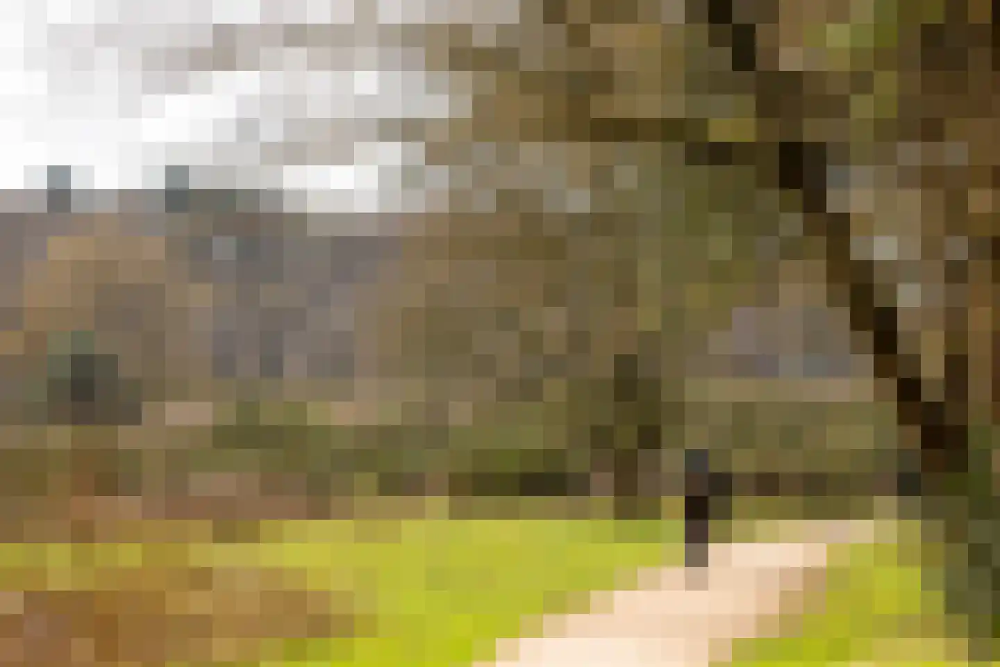 Lijsterbeslaan 10 Hilversum thumbnail 39
