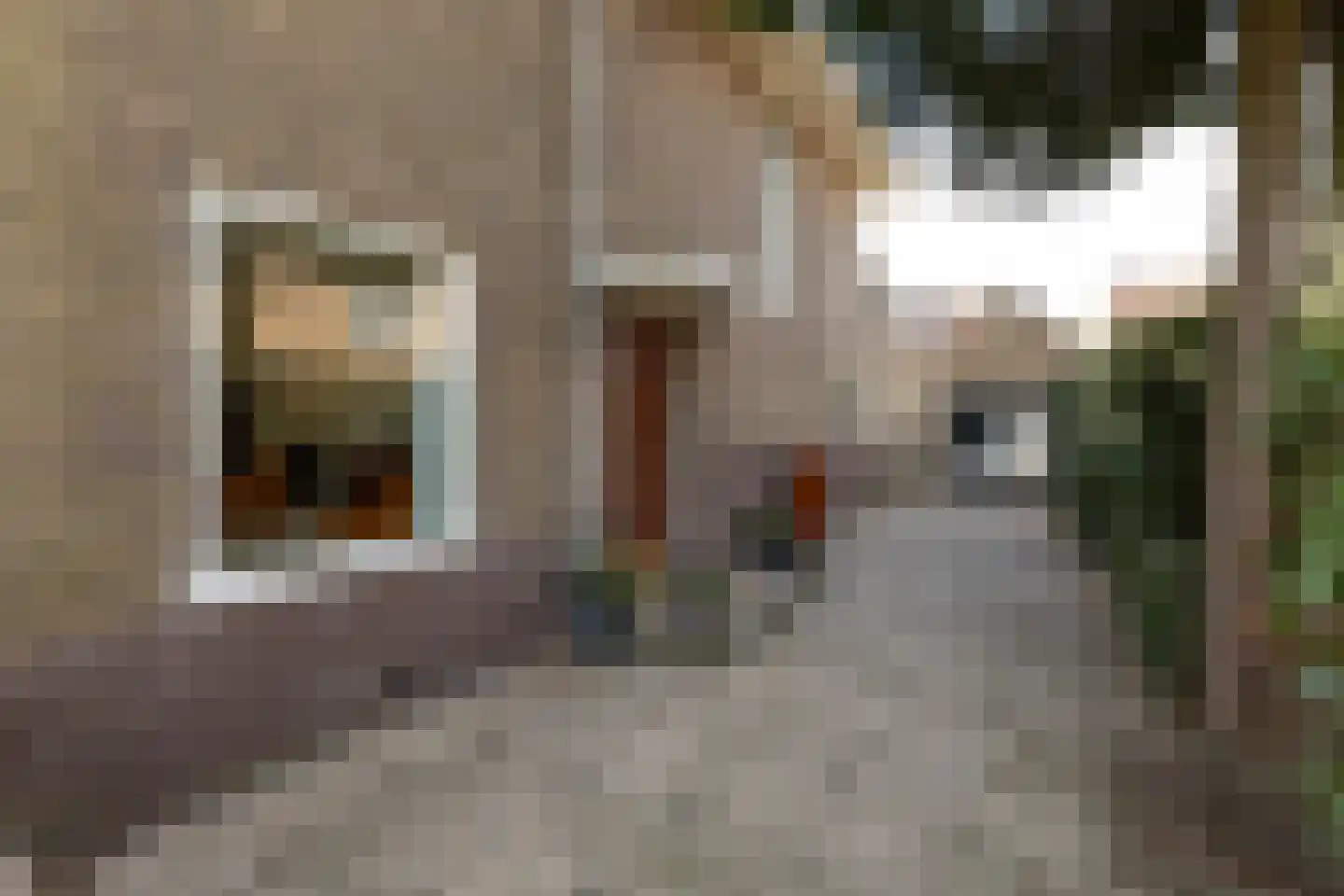 Lijsterbeslaan 10 Hilversum thumbnail 5