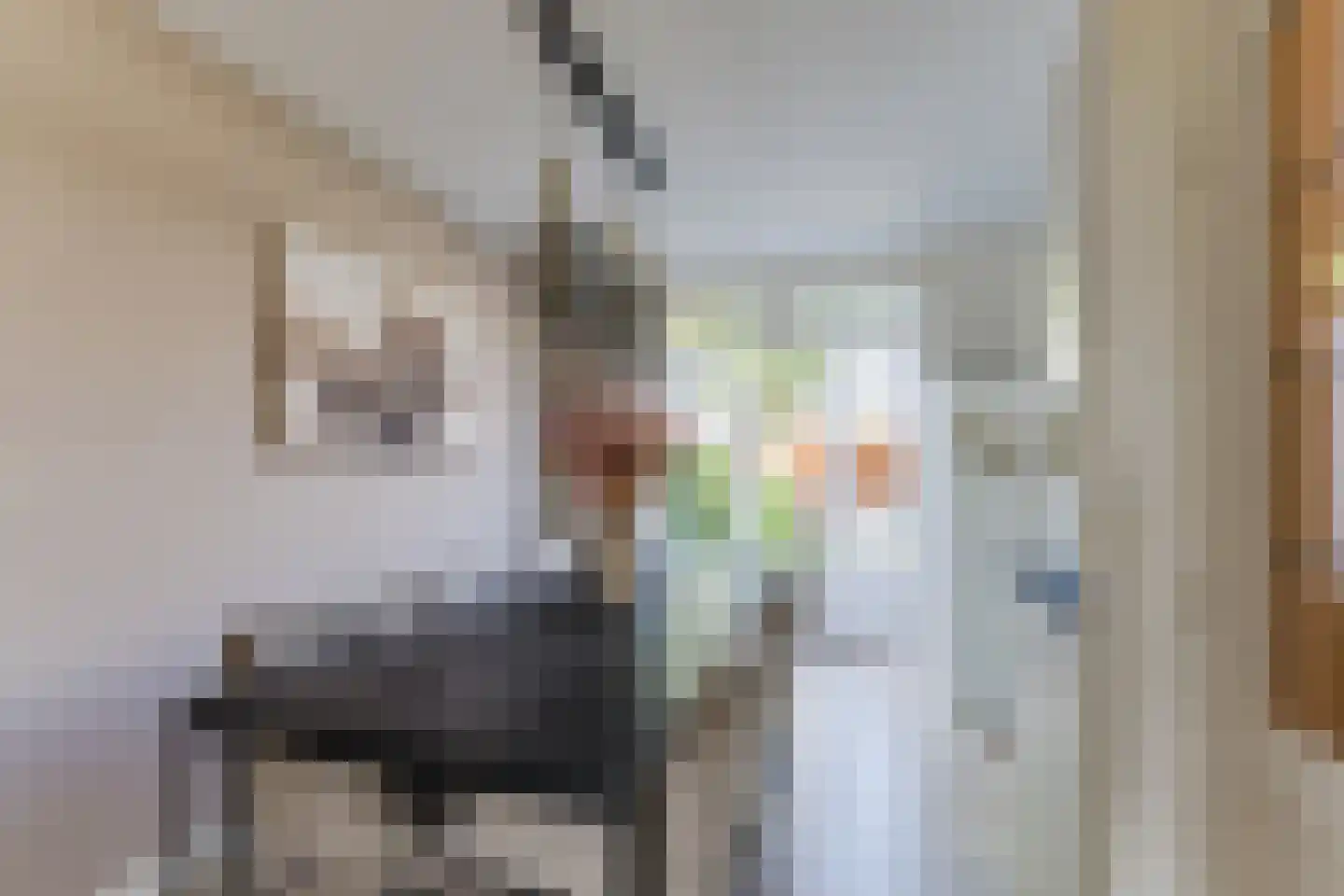 Lijsterbeslaan 10 Oisterwijk thumbnail 12