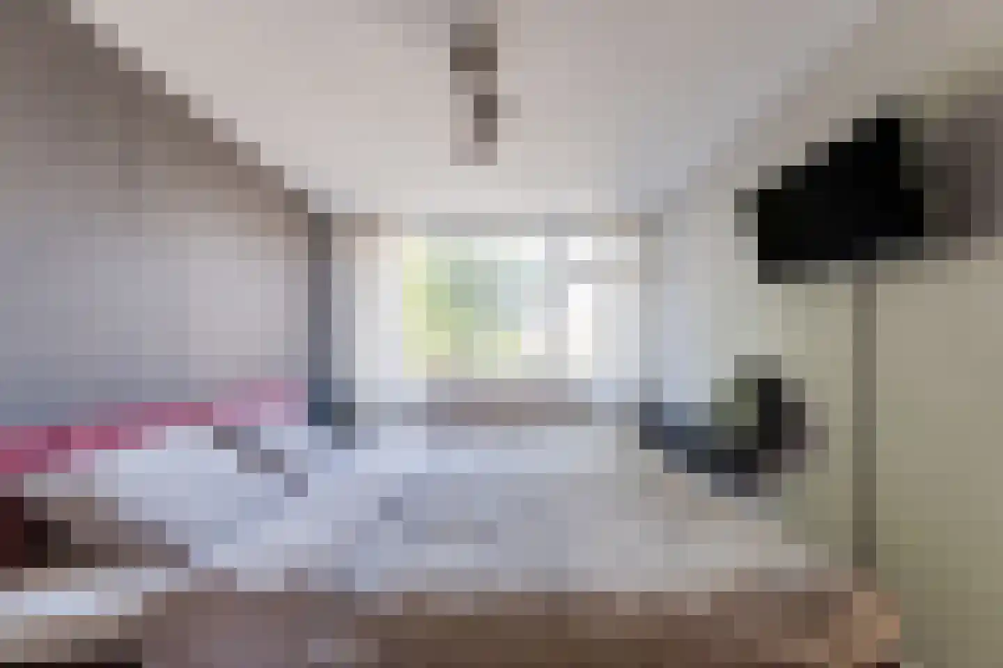 Lijsterbeslaan 10 Oisterwijk thumbnail 21