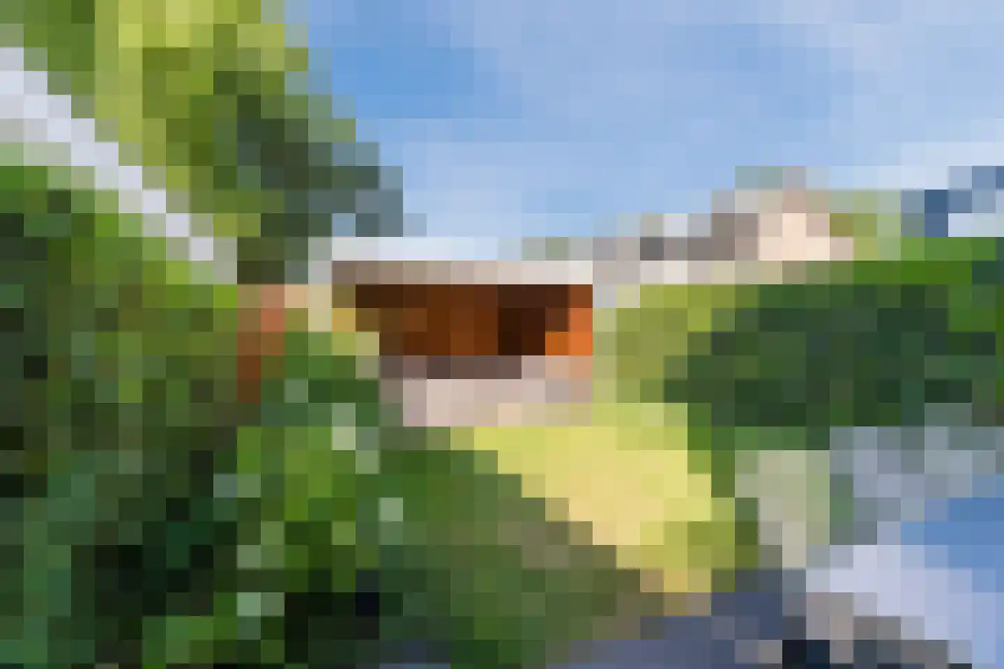 Lijsterbeslaan 10 Oisterwijk thumbnail 26