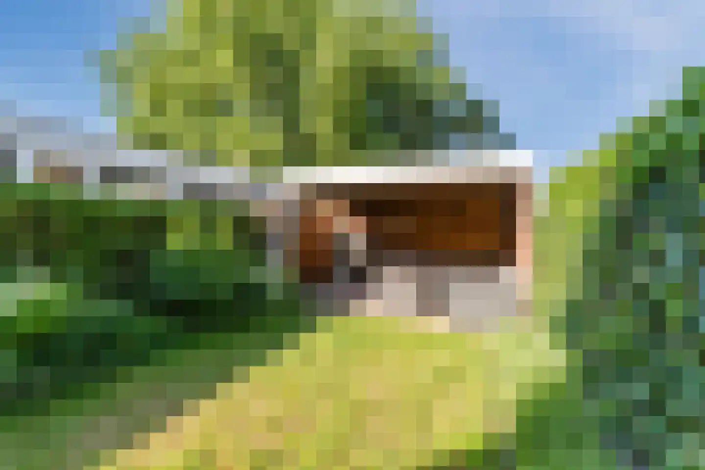 Lijsterbeslaan 10 Oisterwijk thumbnail 27