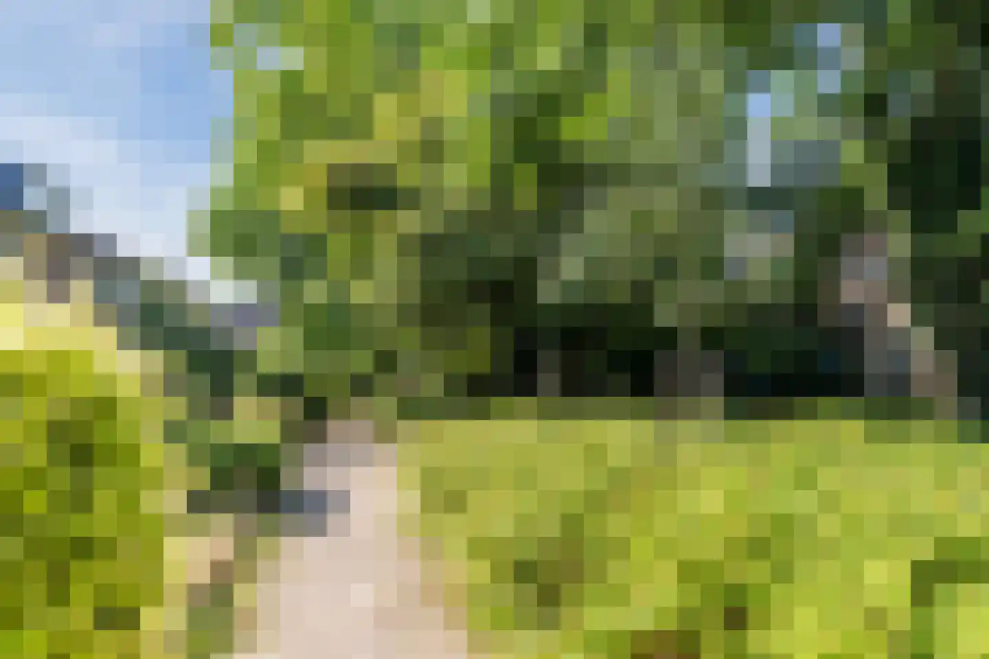 Lijsterbeslaan 10 Oisterwijk thumbnail 30