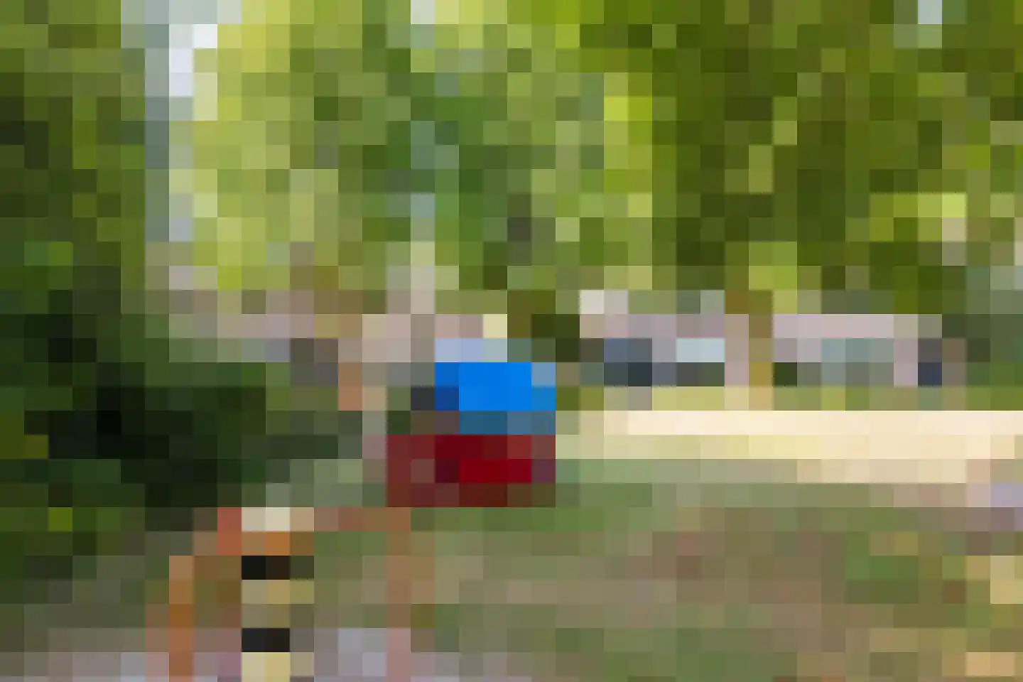 Lijsterbeslaan 10 Oisterwijk thumbnail 33