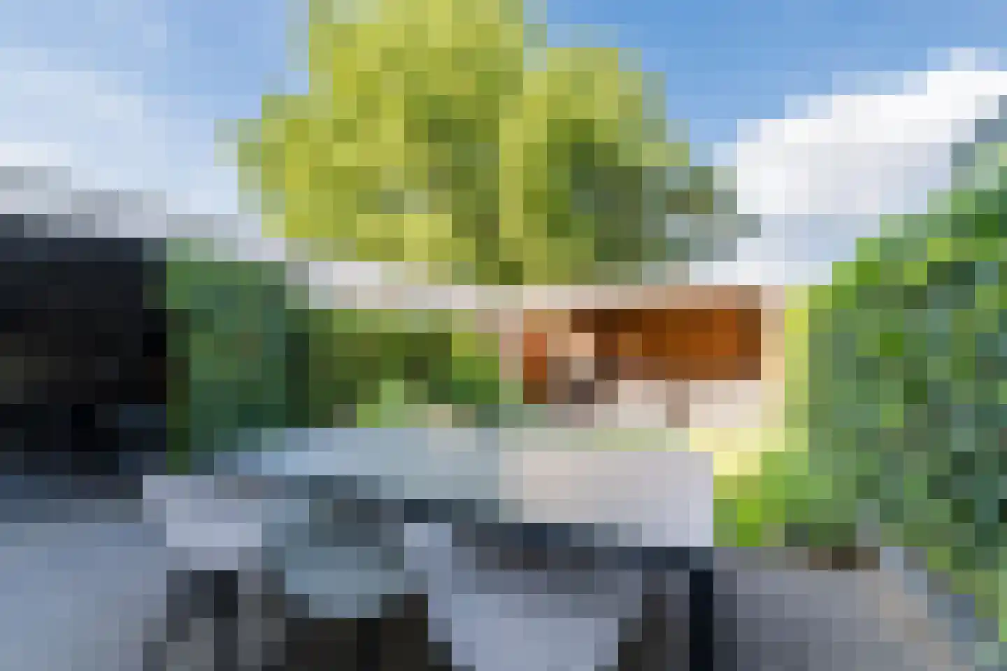 Lijsterbeslaan 10 Oisterwijk thumbnail 5