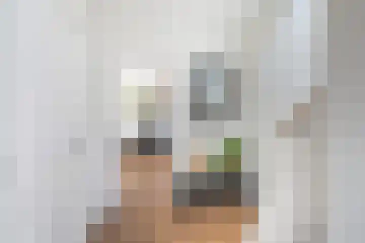 Lijsterbeslaan 10 Oostvoorne thumbnail 10