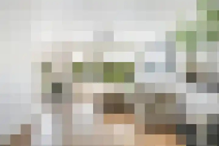 Lijsterbeslaan 10 Oostvoorne thumbnail 13