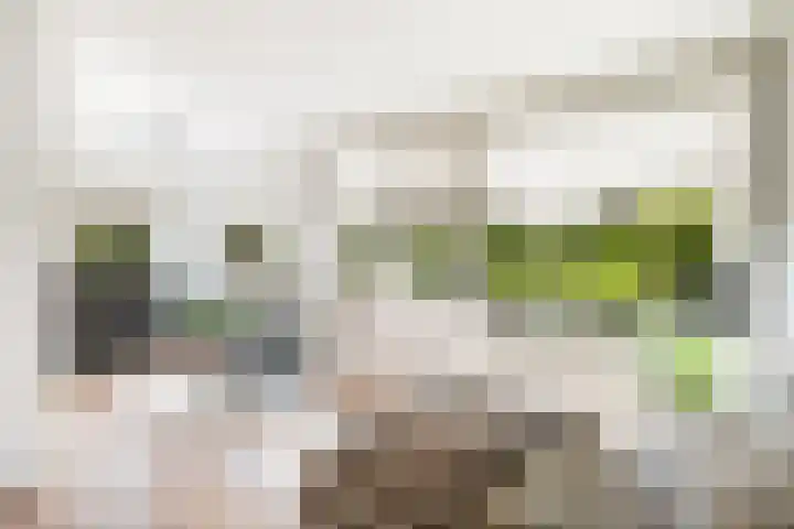 Lijsterbeslaan 10 Oostvoorne thumbnail 14