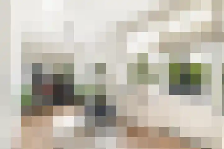 Lijsterbeslaan 10 Oostvoorne thumbnail 17