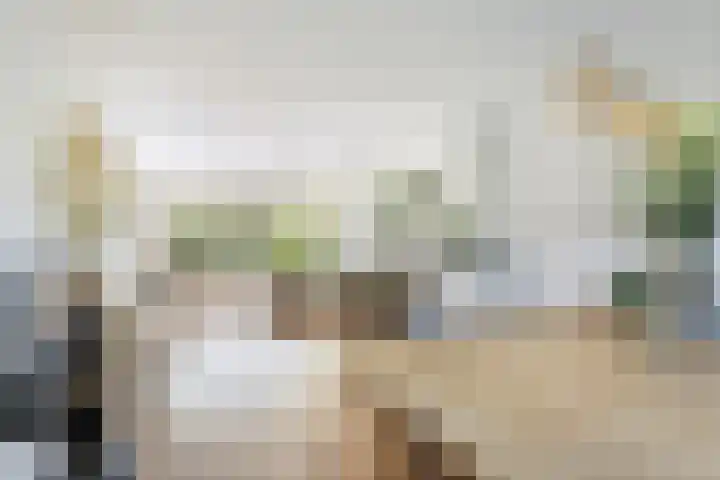Lijsterbeslaan 10 Oostvoorne foto 2