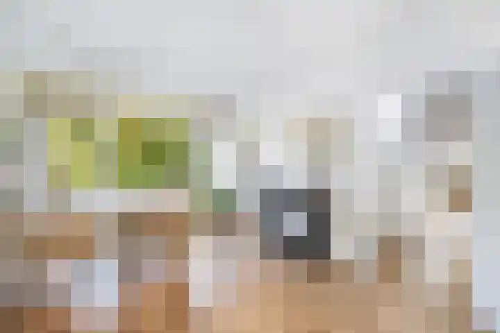 Lijsterbeslaan 10 Oostvoorne thumbnail 21