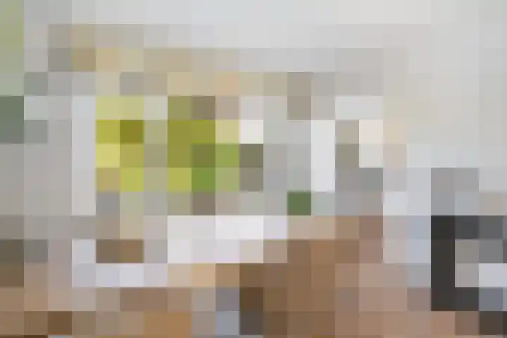 Lijsterbeslaan 10 Oostvoorne thumbnail 22