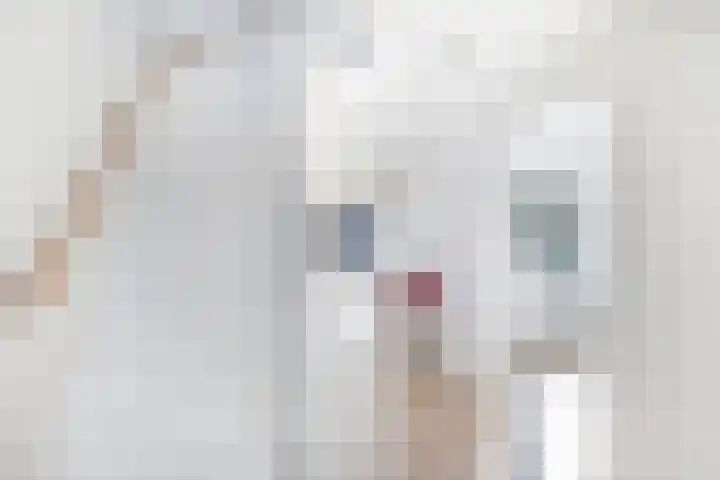 Lijsterbeslaan 10 Oostvoorne thumbnail 25