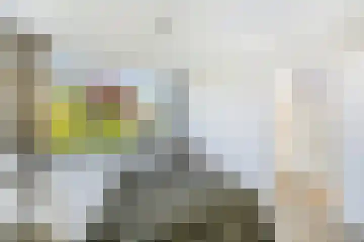 Lijsterbeslaan 10 Oostvoorne thumbnail 27