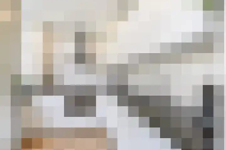 Lijsterbeslaan 10 Oostvoorne foto 3