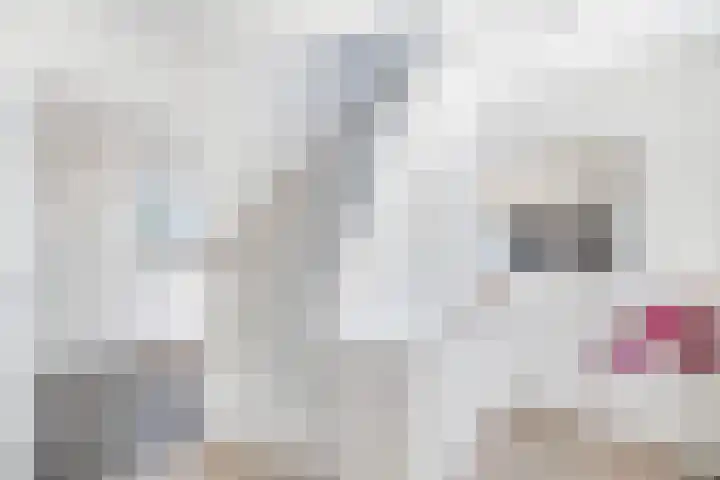 Lijsterbeslaan 10 Oostvoorne thumbnail 34