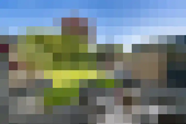 Lijsterbeslaan 10 Oostvoorne thumbnail 41