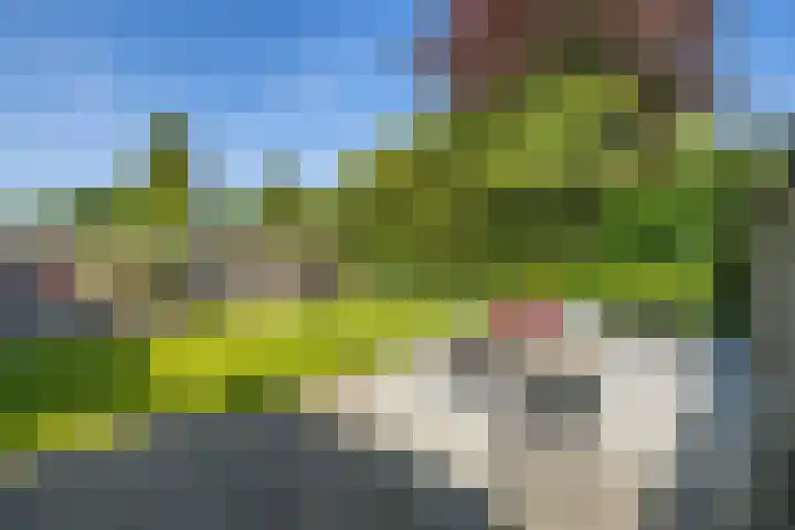 Lijsterbeslaan 10 Oostvoorne thumbnail 42