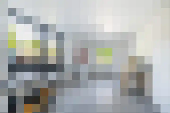 Lijsterbeslaan 10 Oostvoorne thumbnail 46