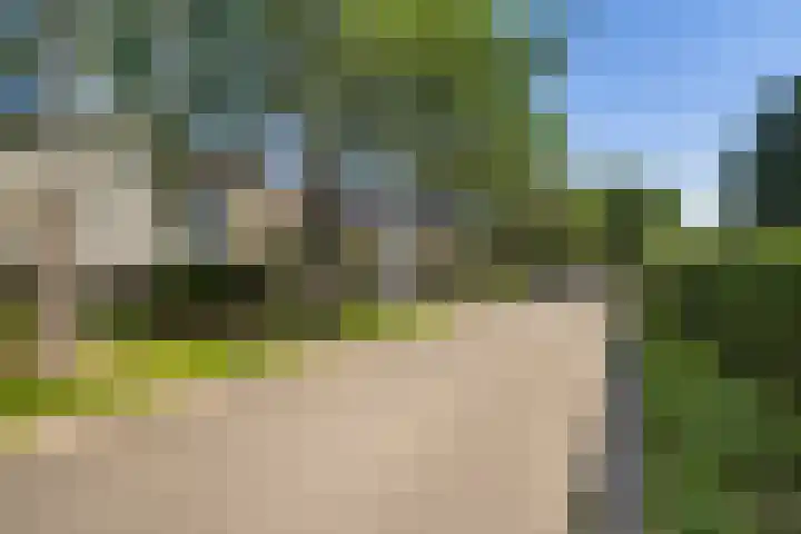 Lijsterbeslaan 10 Oostvoorne thumbnail 47