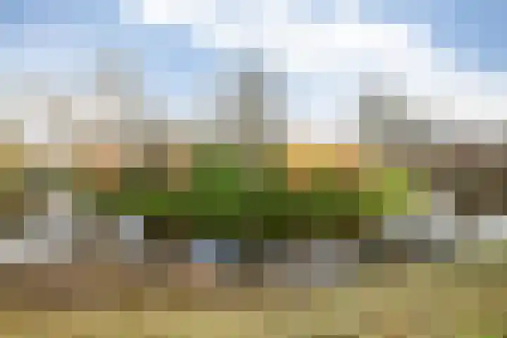 Lijsterbeslaan 10 Oostvoorne thumbnail 48