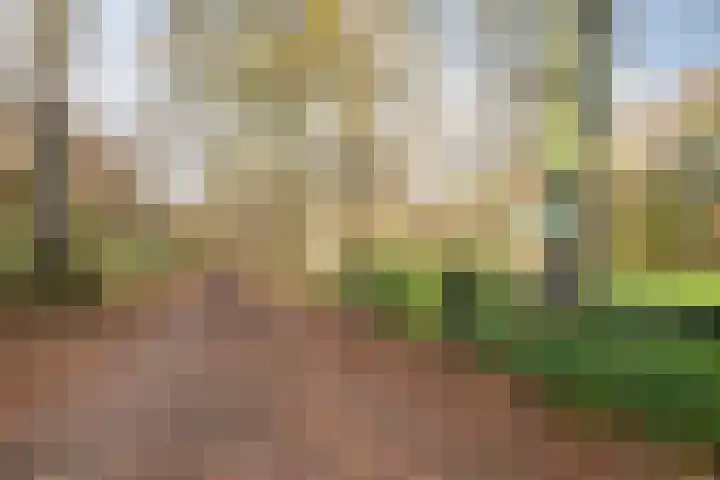 Lijsterbeslaan 10 Oostvoorne thumbnail 49