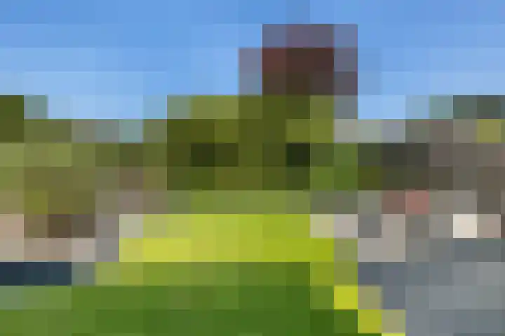 Lijsterbeslaan 10 Oostvoorne thumbnail 5