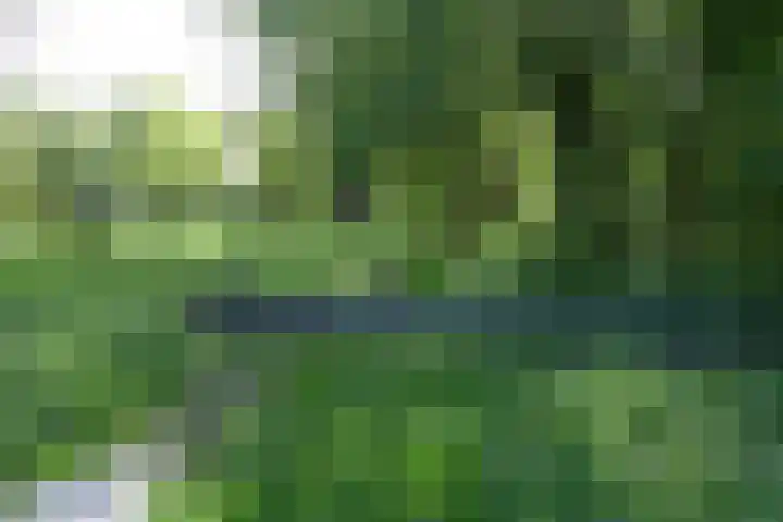 Lijsterbeslaan 10 Oostvoorne thumbnail 50