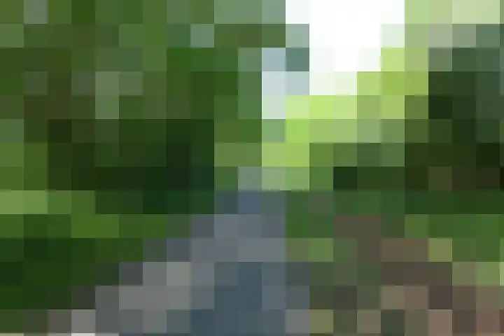 Lijsterbeslaan 10 Oostvoorne thumbnail 51