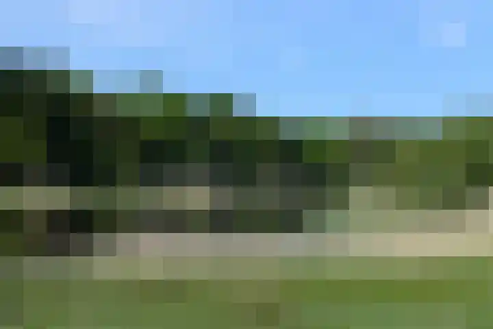 Lijsterbeslaan 10 Oostvoorne thumbnail 52