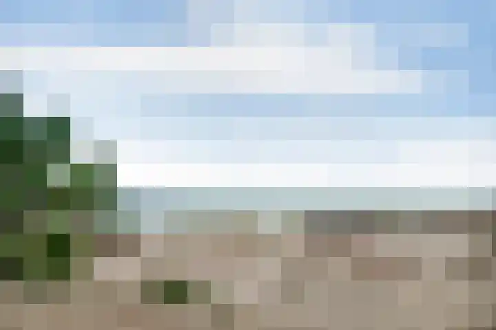 Lijsterbeslaan 10 Oostvoorne thumbnail 54