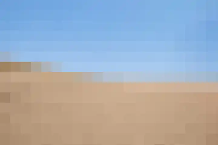 Lijsterbeslaan 10 Oostvoorne thumbnail 55