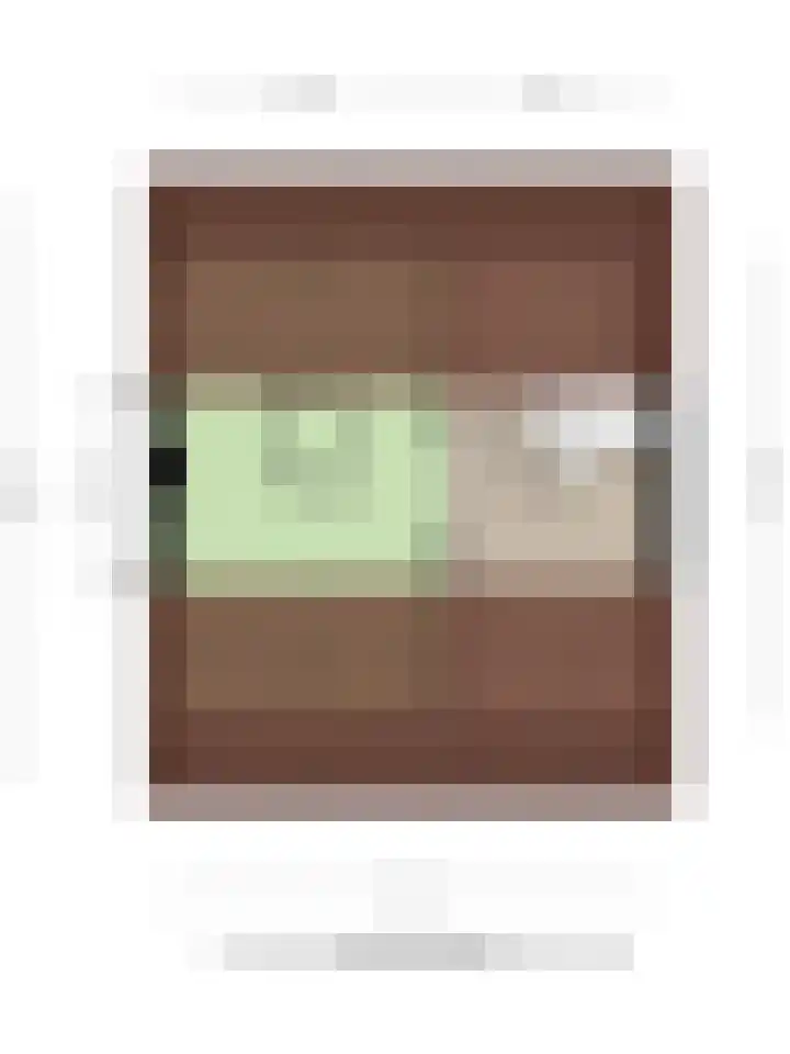 Lijsterbeslaan 10 Oostvoorne thumbnail 58